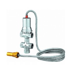 Katla pārkaršanas vārsts divkontūru CALEFFI