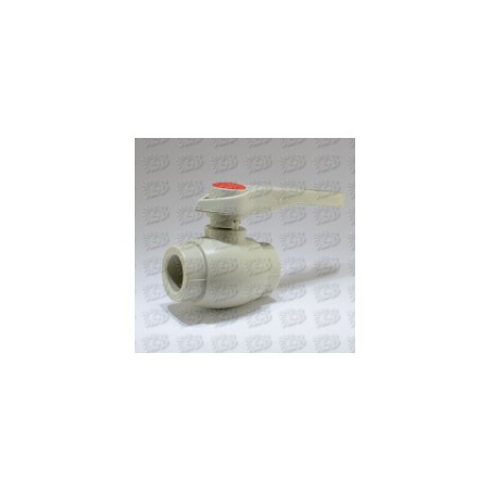 P Lodv.ventīlis d25 plastmasas [EN]