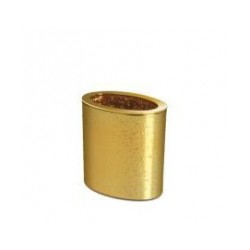 Turētājs zobu birstēm OVAL, zelta