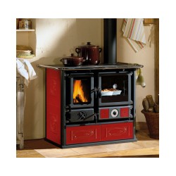 Plīts TERMOROSA DSA 4.0