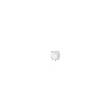 WC toilet bowl OVAL white, wall-hung with s/c lid