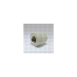 P PIV D20*1/2` plastic