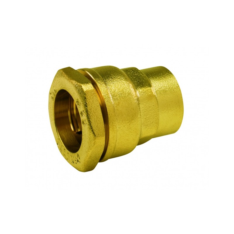 Bronzas PIV 63*2