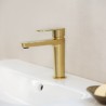 Mais. Izlietnes ALEXIA bez nopl. RamonSoler brushed gold